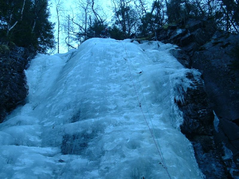 DSCF0002